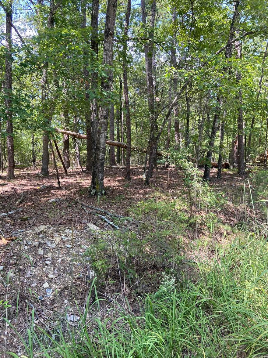 Prime Residential Building Lot in Hot Springs Village, Arkansas. Discover the perfect spot to build your dream home on this stunning residential building lot, nestled in a serene cul-de-sac in the heart of Hot Springs Village. This beautifully wooded lot offers a tranquil setting with the added benefit of being close to the vibrant Lake Coronado.  Situated on a lined cul-de-sac, ensuring a peaceful and private atmosphere, just minutes away from the sparkling Lake Coronado and the fitness center offering fantastic recreational opportunities. Enjoy all the exclusive amenities Hot Springs Village has to offer, including golf courses, hiking trails, tennis courts, pickleball and more!  Surround yourself with the beauty of nature, with mature trees and lush greenery. Become part of a friendly and welcoming community known for its vibrant social scene and numerous clubs and activities!