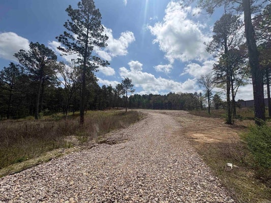 7809 ALBERT PIKE RD, ROYAL, AR 71968 - Image 5a1f7b233feee83e5f7e1b875c3ca31c/4157601027