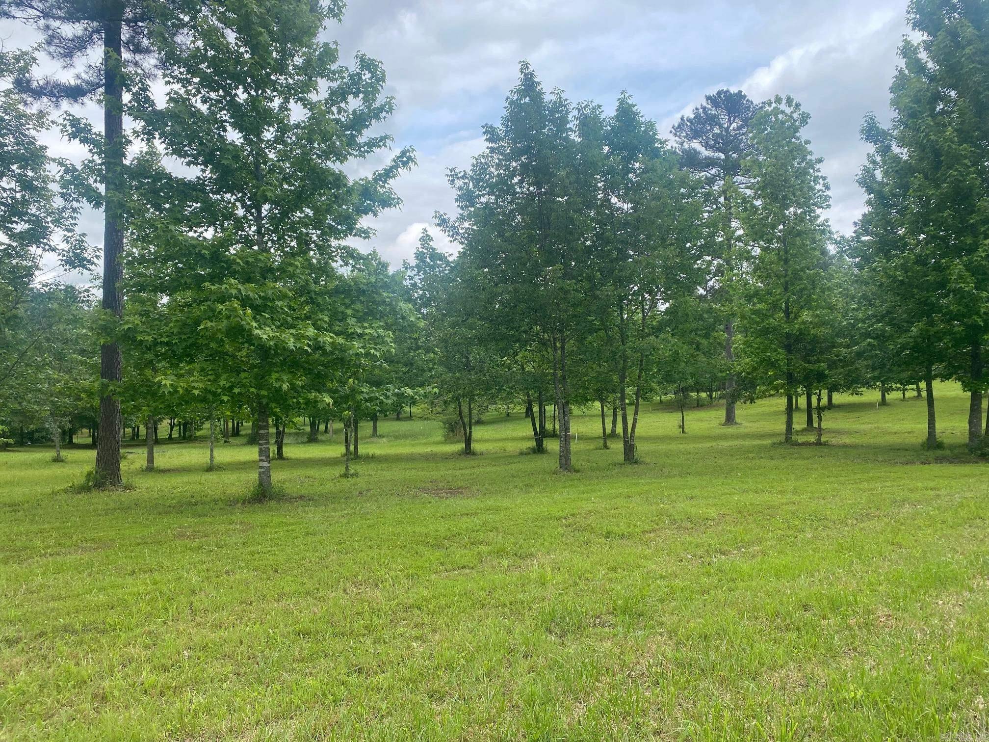 Bean Point Estates - Land