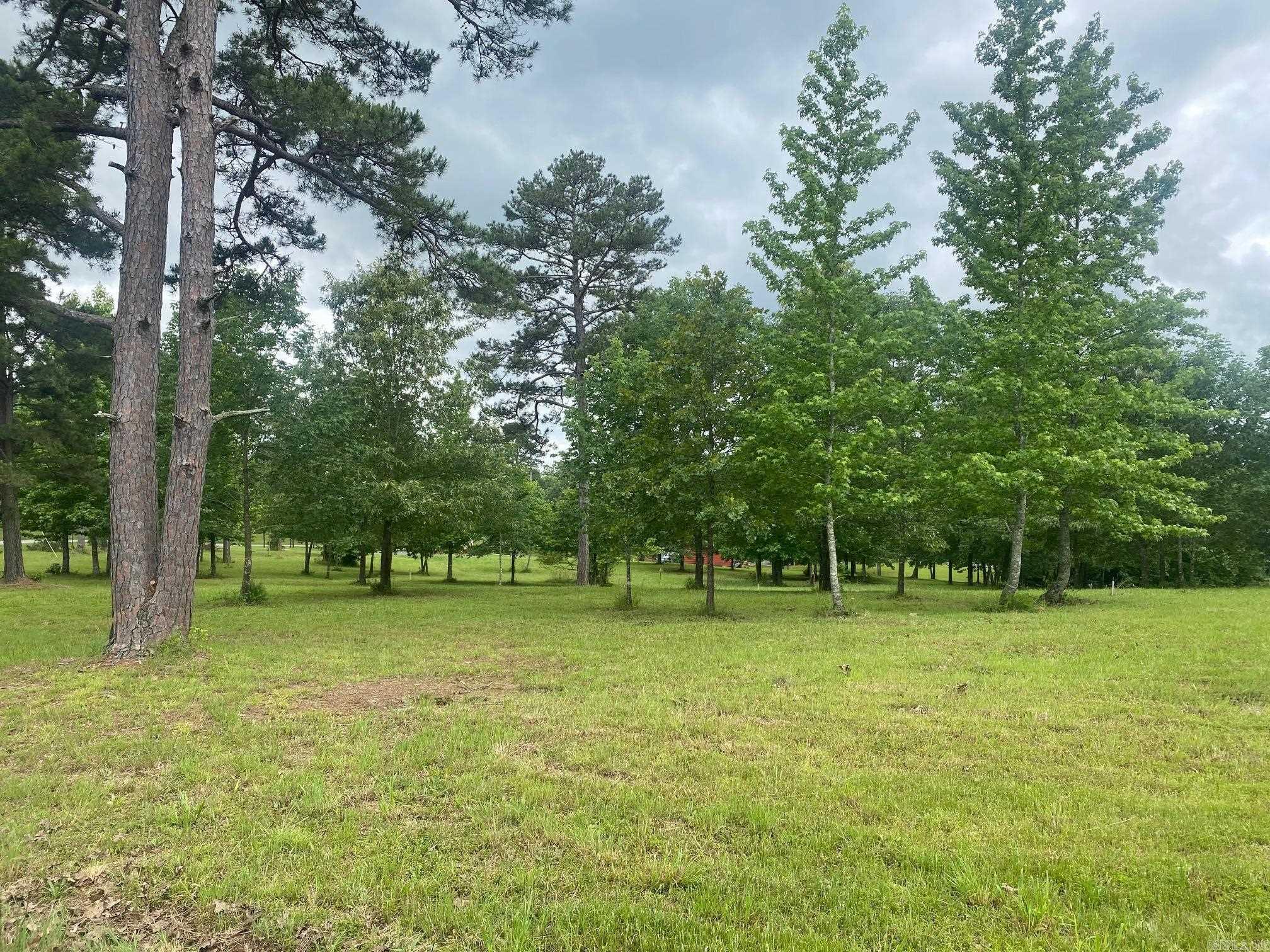 Bean Point Estates - Land