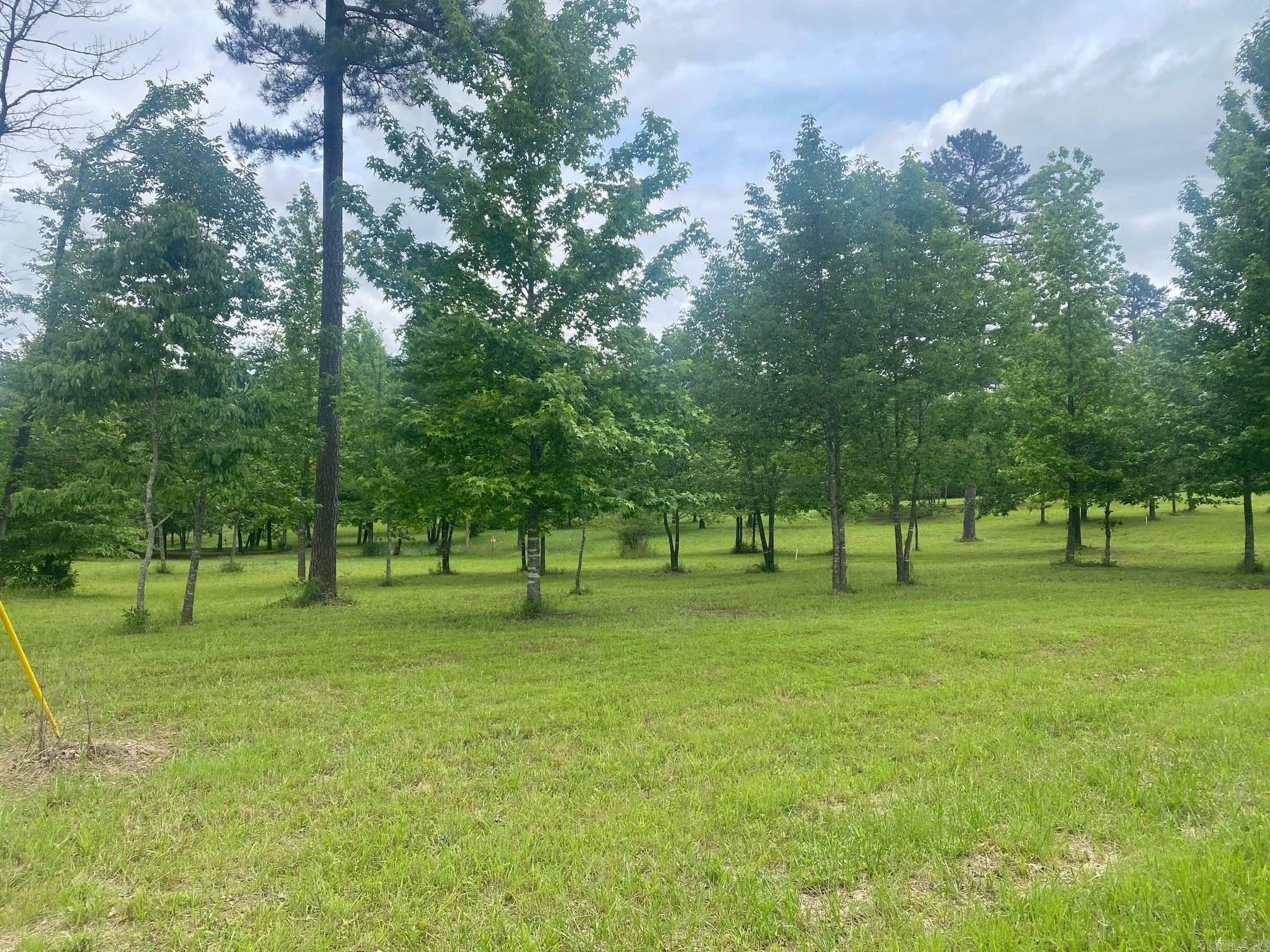 Bean Point Estates - Land