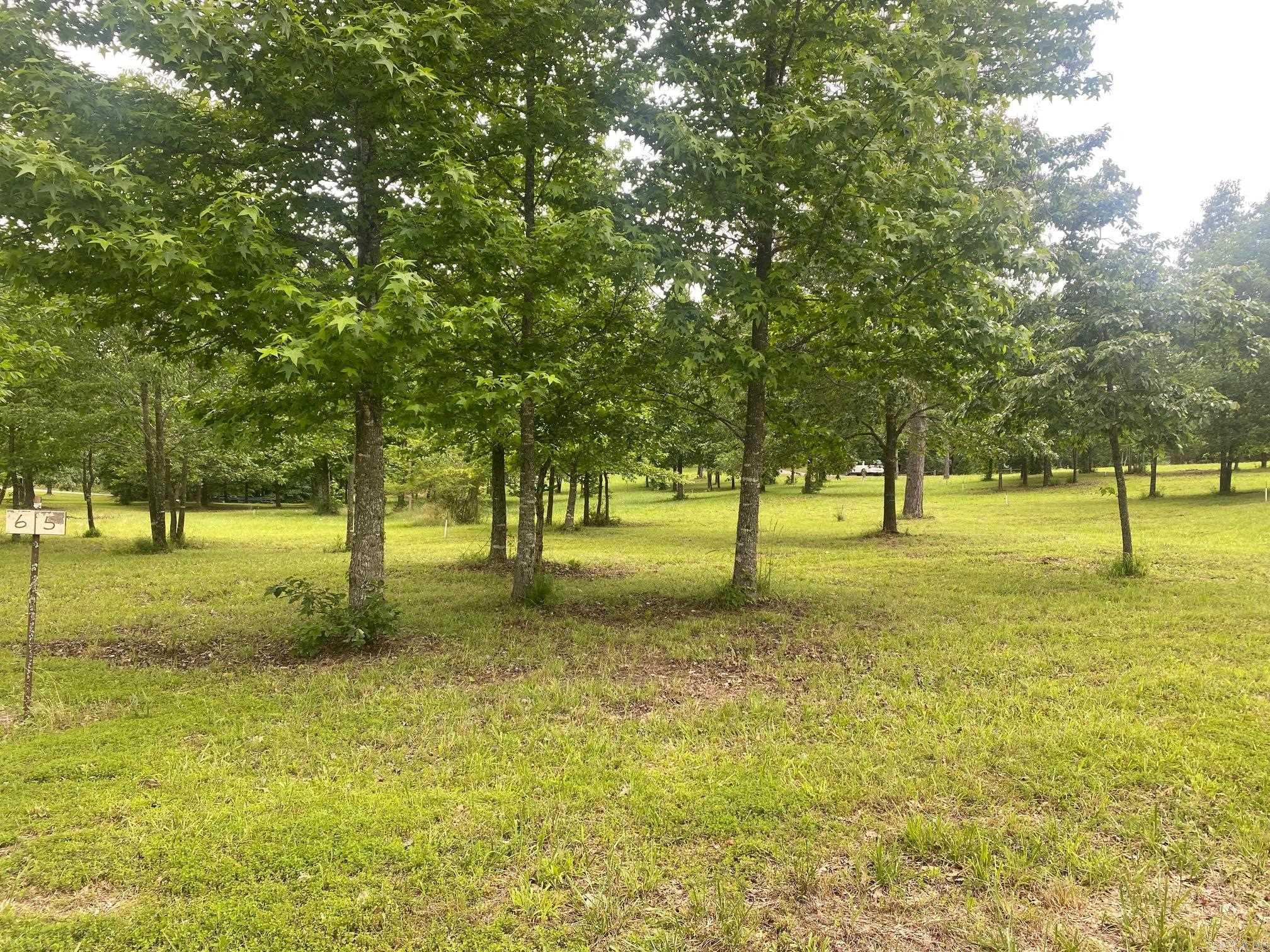Bean Point Estates - Land