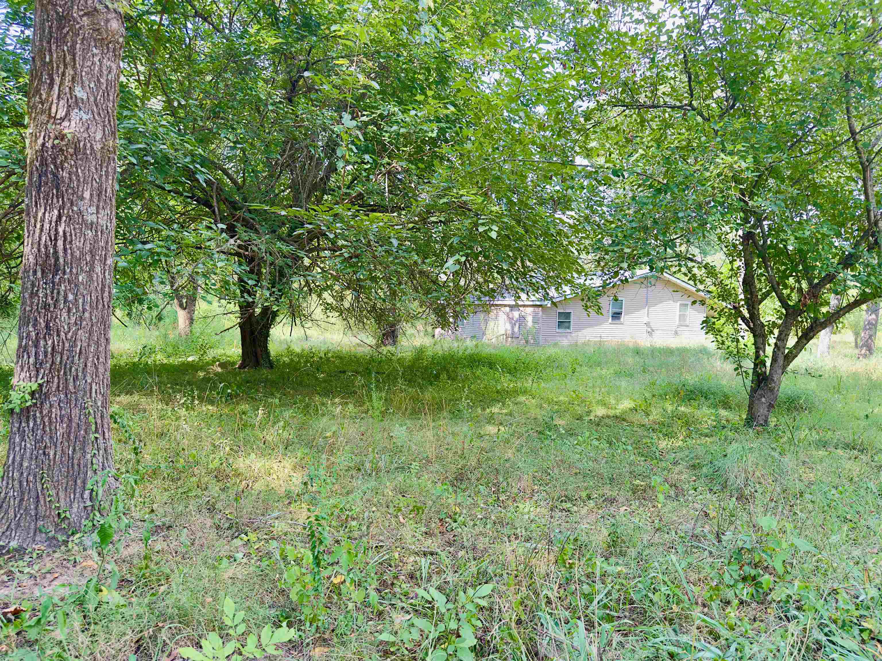 Rio Vista II - Residential