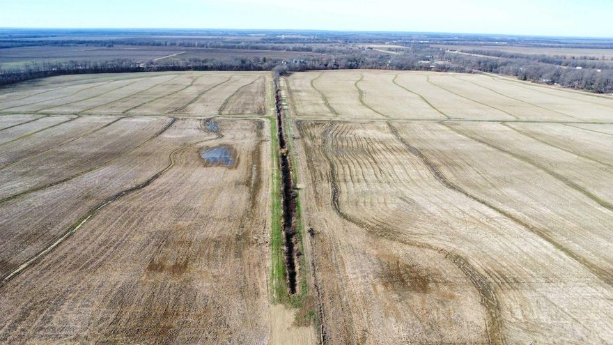 Located just 23 minutes from Memphis, this 217± acre property offers an exceptional combination of highly productive farmland and recreational duck hunting in a proven Delta flyway area near Blackfish Lake, a region well known for both fishing and waterfowl.The farm features 173.49 acres of leveled and irrigated ground, making it well-suited for row crop production with efficient field layouts and strong yield potential. An additional 20 acres of non-irrigated ground provides flexibility for farming, habitat, or future improvements.   For the sportsman, the property includes one pit blind located in the southeast field, offering an excellent setup for duck hunting. The surrounding agricultural landscape, nearby water, and historical waterfowl activity in the Blackfish Lake area make this a desirable hunting tract with income-producing capability.  With convenient access, productive soils, and recreational appeal, this property is well-positioned for investors, farmers, or outdoor enthusiasts seeking a quality Delta farm within close proximity to a major metropolitan area.  Farm is produces cash rent on a yearly basis and can also produce income from duck hunting lease.