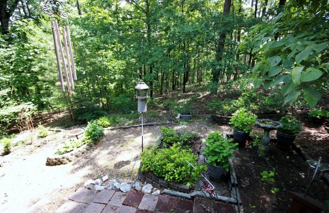 Jalisco - Residential