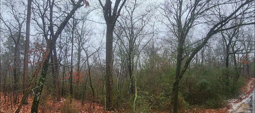 Build your dream home on this one! Just under an Acre. Just big enough to enjoy, but not to much to maintain. Close to Magic Springs and all of the fun, food, and activities that Hot Springs has to offer, while still maintaining that country feel. Don't hesitate with this one!