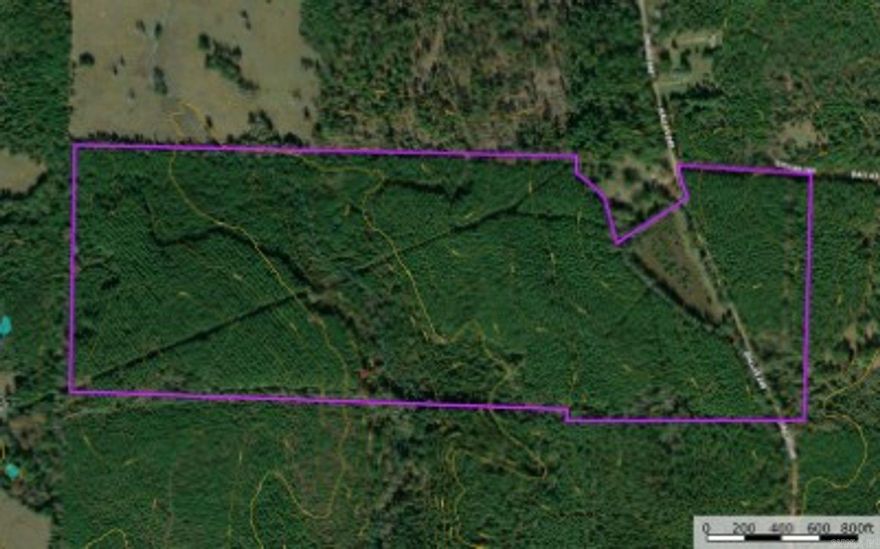 This two-parcel tract straddles Clark and Dallas Counties and totals 115 acres, according to county records. It's a clear-cut today, but that may be exactly what a buyer wants if the goal is to bring it back into pasture. Coming in from Dalark, you'll pass good pastureland that shows what this place could be again for cattle, horses, hay, or just plain wide-open country living. The seller says the power poles are on site, and municipal water is available nearby, so this land could become your home with no restrictions. Access is via Dallas County Road 245, a dirt road in good condition for all vehicles. You're roughly 15 miles from Arkadelphia and 17 miles from the Walmart Supercenter there. The Sparkman post office and family clinic are less than 9 miles away. DeGray Lake, the Ouachita River, and the Caddo River recreation areas are all within reach. Priced at $2,200 per acre, this one stacks up well against many active, larger-acre tracts nearby. Bring your boots, a side-by-side, and a little vision. Call your agent to schedule a showing today!