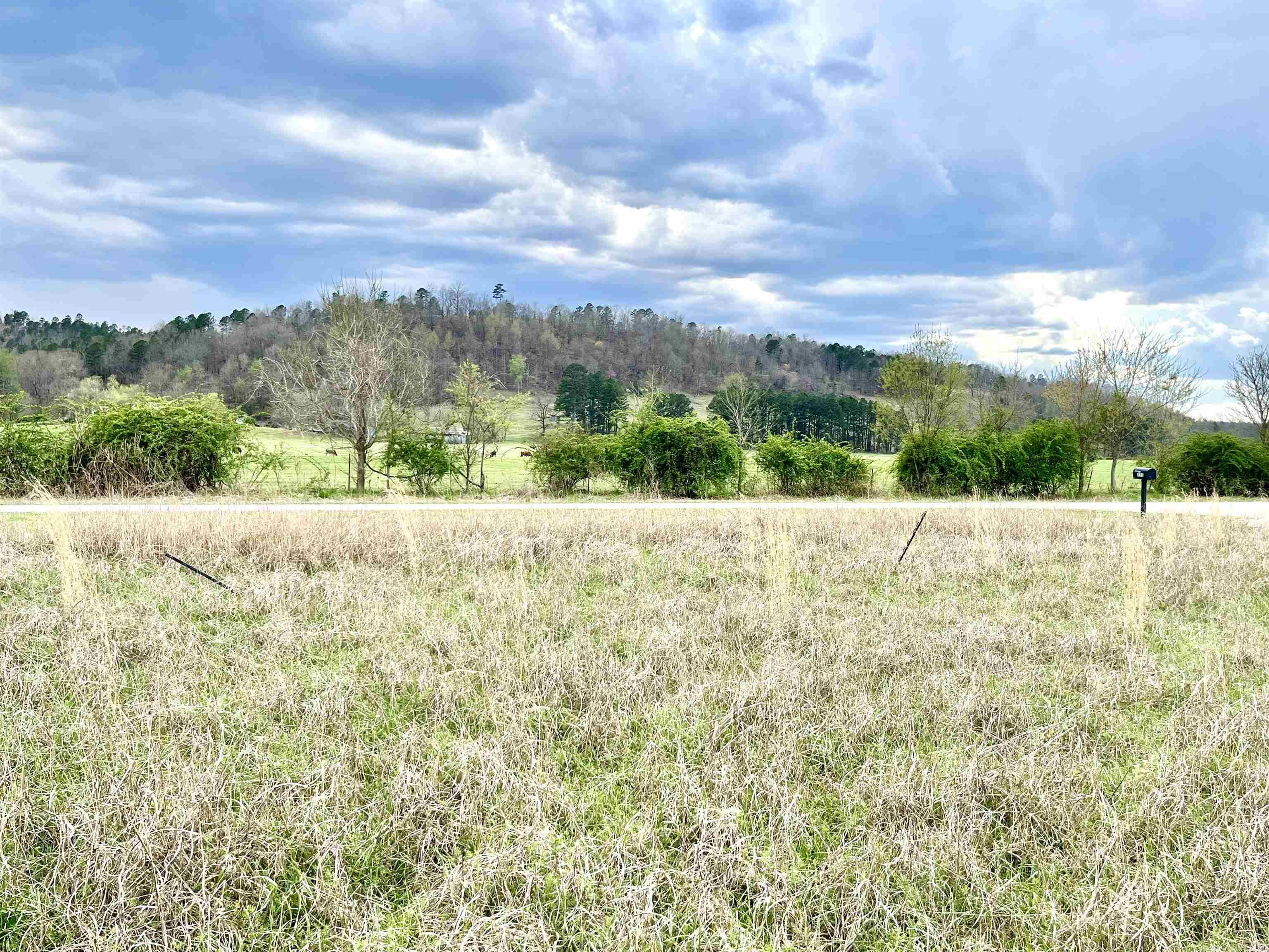 Sneeds Creek Landing - Land