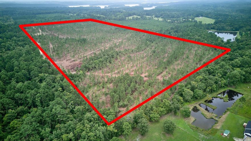 Check out this awesome 80-acre spot on Rainbow Road! It's perfect for anyone looking to start a homestead, enjoy the outdoors, or settle down in Bismarck School District. With water and electricity at the road, building your home will be a breeze. Hunters will love the deer activity, and there's plenty of space for hiking, biking, and off-roading. Plus, you're close to DeGray Lake, Caddo River, and Lake Hamilton for water fun, and Hot Springs National Park and Arkadelphia for everything else. Give us a call to see what Rainbow Road has to offer!