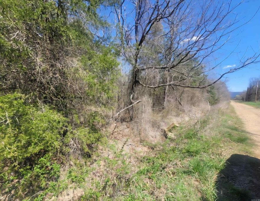 UNRESTRICTED 5 (+/-) acres of historical land from the 1800's!! Sugar loaf Lake is not far away along with county water and electric at the road. Grab it before it is gone!