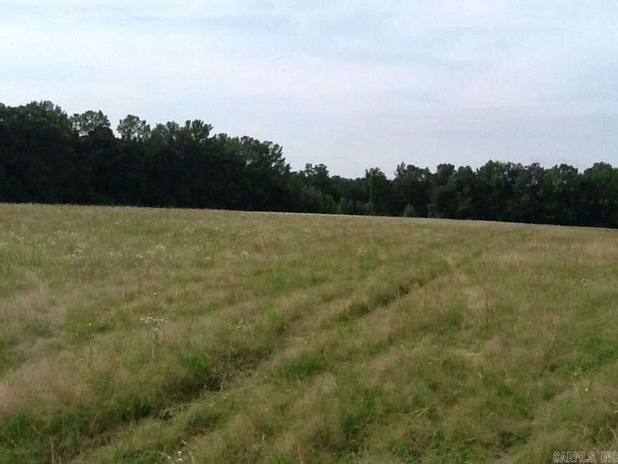 Absolutely beautiful land to build your DREAM HOME!   Just out of city limits of Cabot.  Partially wooded mostly cleared.  Level  ready to build.  Additional acreage up to 52 acres available in pieces of not less than 10acre tracts. Deed Restrictions of no less than 2000 sq ft homes and no mobile/manufactured homes.  Some of this property backs up to Holland Bottoms.  Great for farming, cattle or hunting!!!!  Great pasture land. Stock pond on back of property.  Priced to sell @$9000. per acre.