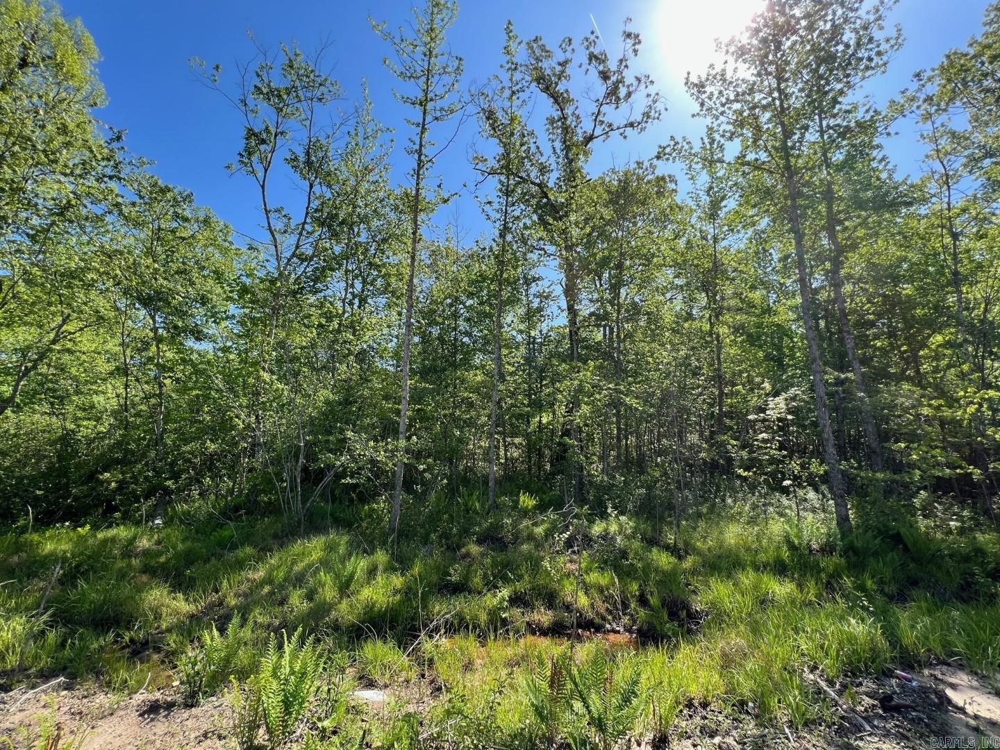 PINEWOOD ESTATES - Residential