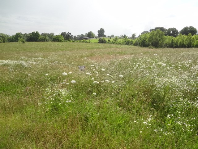 MOUNTAIN CREST ESTATES - Land