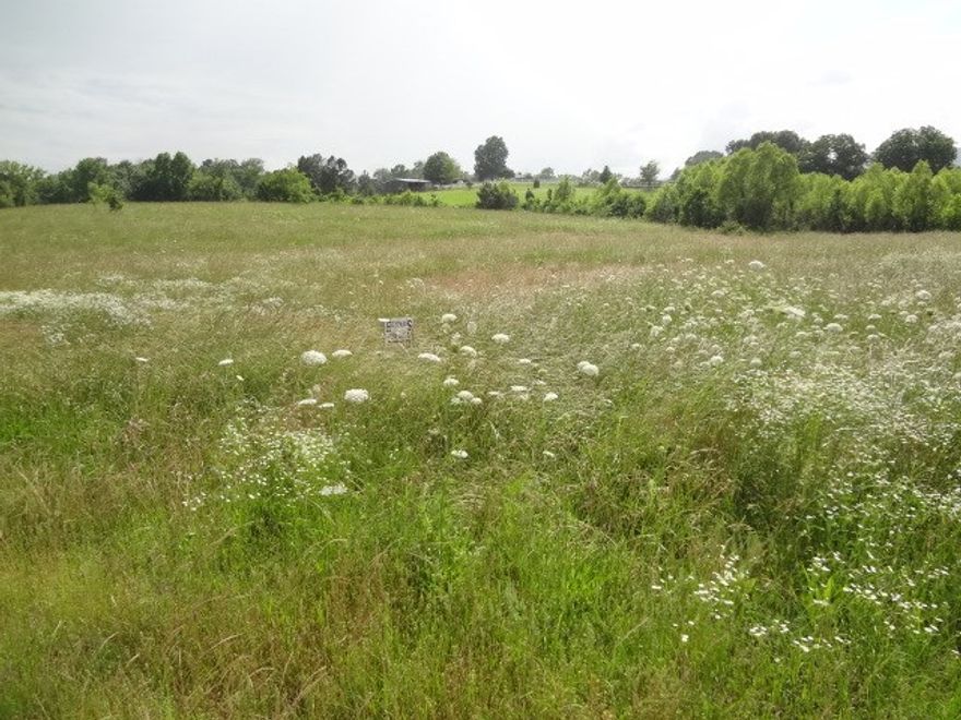 Absolutely  beautiful piece of land ready for your dream home to be built. Close to tow, with the feeling of living in the country. There is a mountain view from this 3.360 acres with City water and electricity already run to the property. There is even a fire hydrant close to the property. There are Covenants which include that homes must be built at least 2000 sq.ft., horses are allowed.