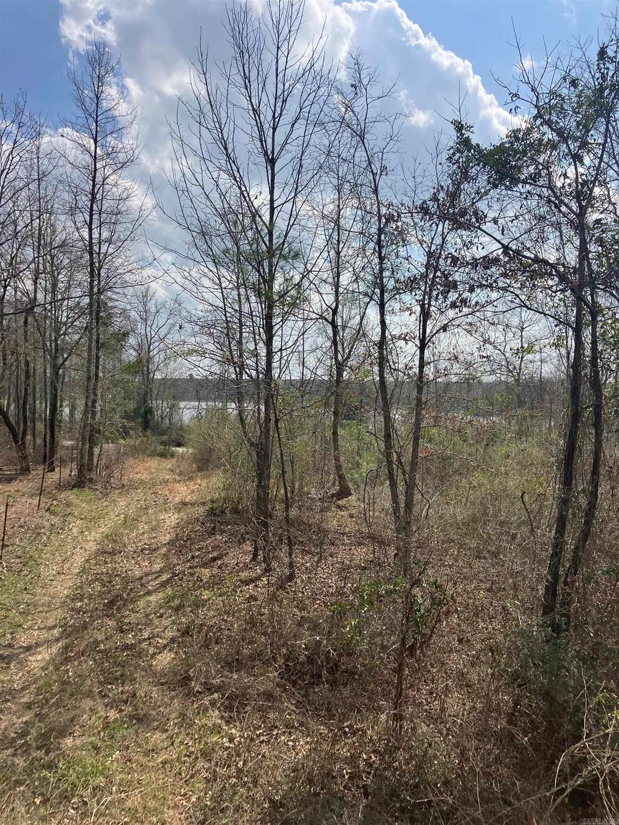 Looking for the perfect place to build or just a small cabin spot - offers approx 10 acres east of Nashville, with county road frontage on Hempstead 27 S.  Contact our office for more details.