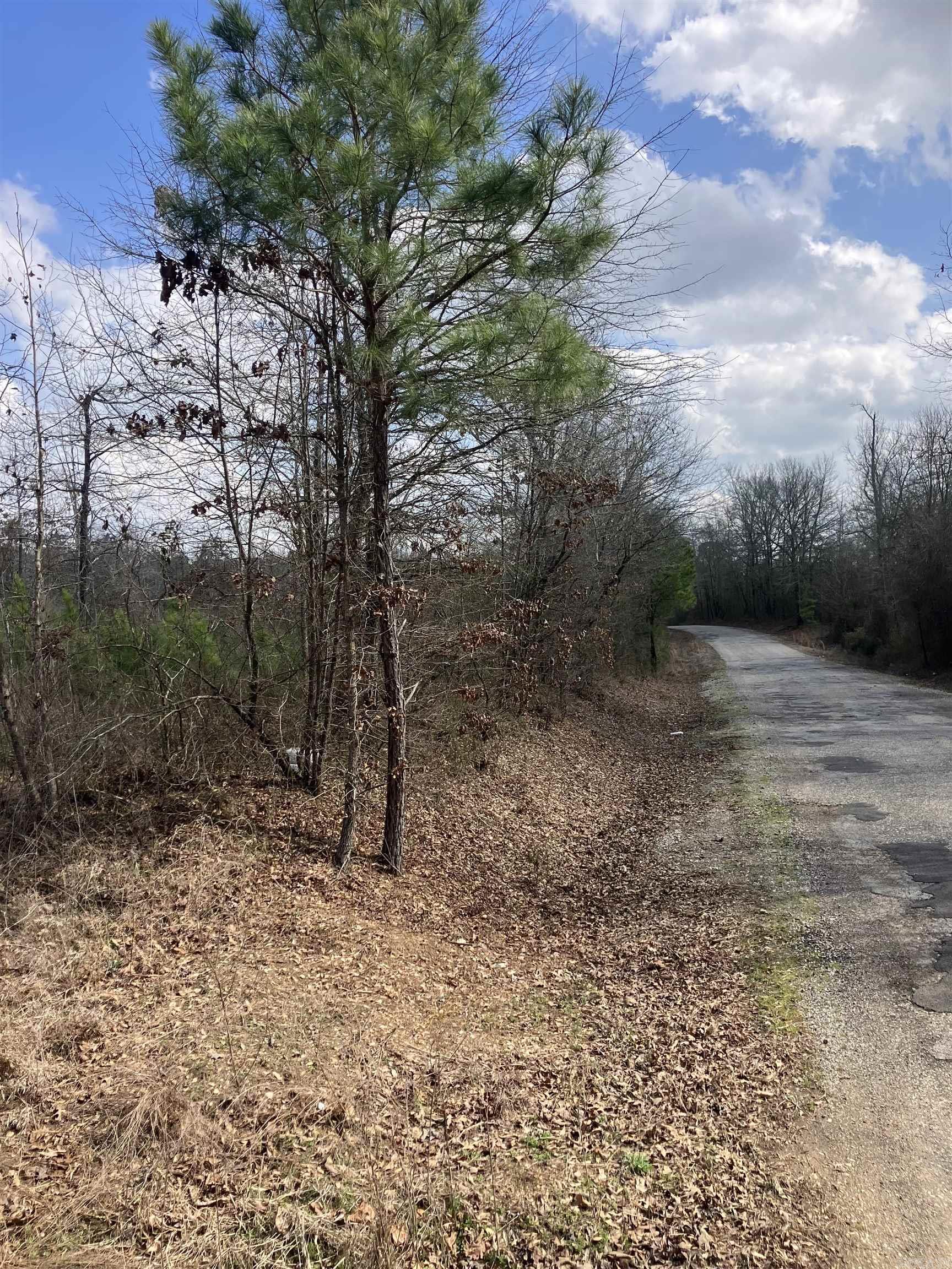 Metes & Bounds - Land