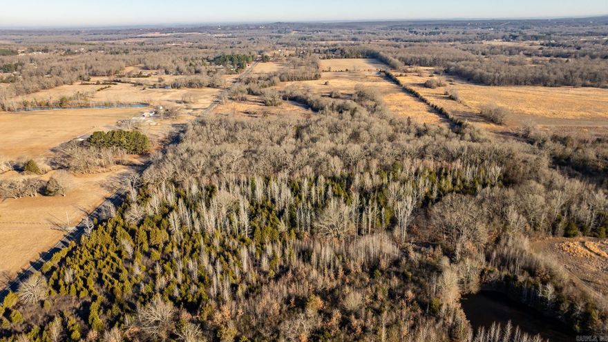 Looking to build your dream home on large, hard to find lots convenient to everything?  Discover these 5-7.5-acre level lots partially cleared, but with beautiful trees for endless possibilities. You don't want to miss the chance to build in a country setting but close to city amenities.  Pictures coming soon