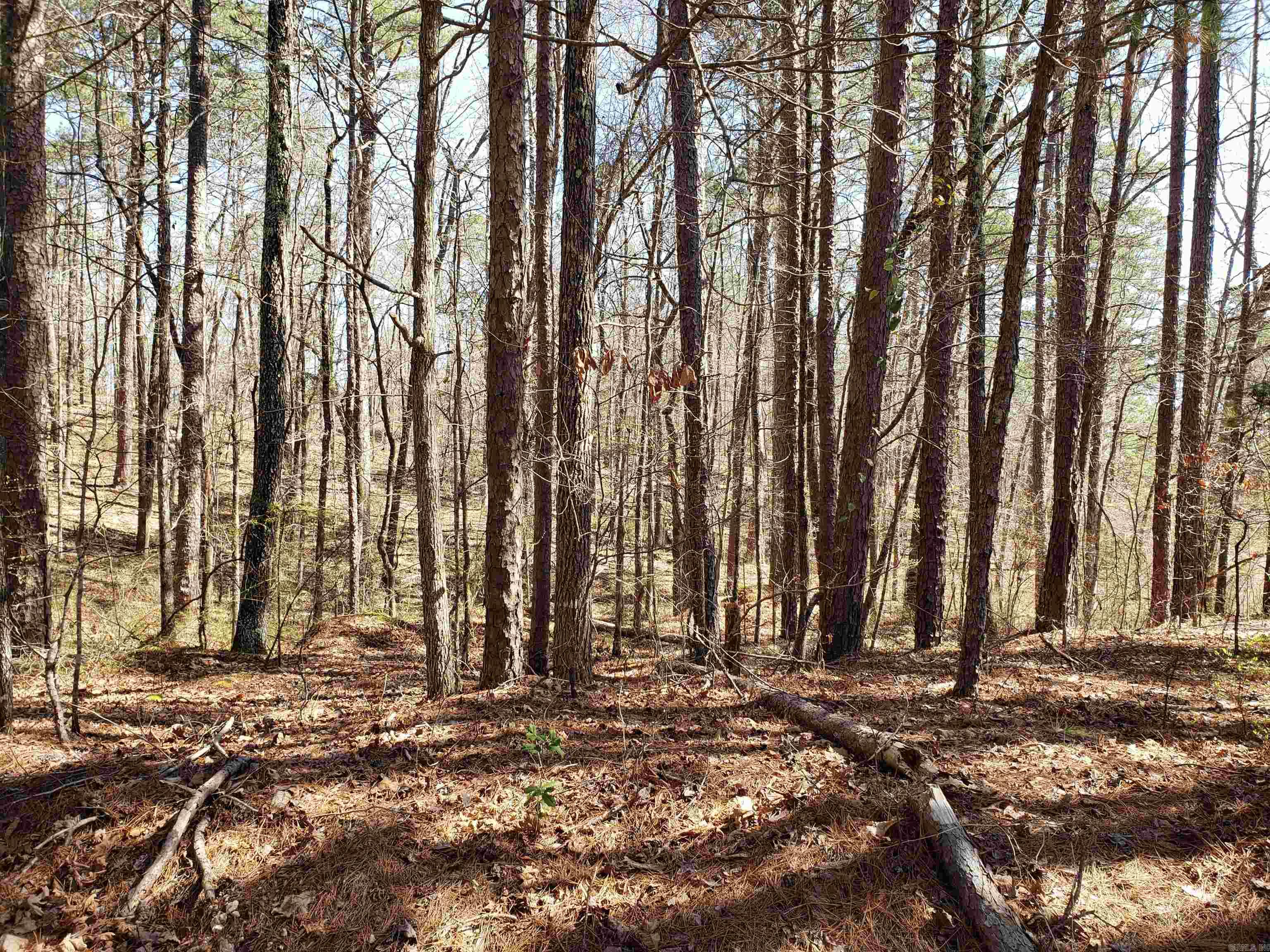 Buildable lot near Cortez Golf Course. No neighbors near by.