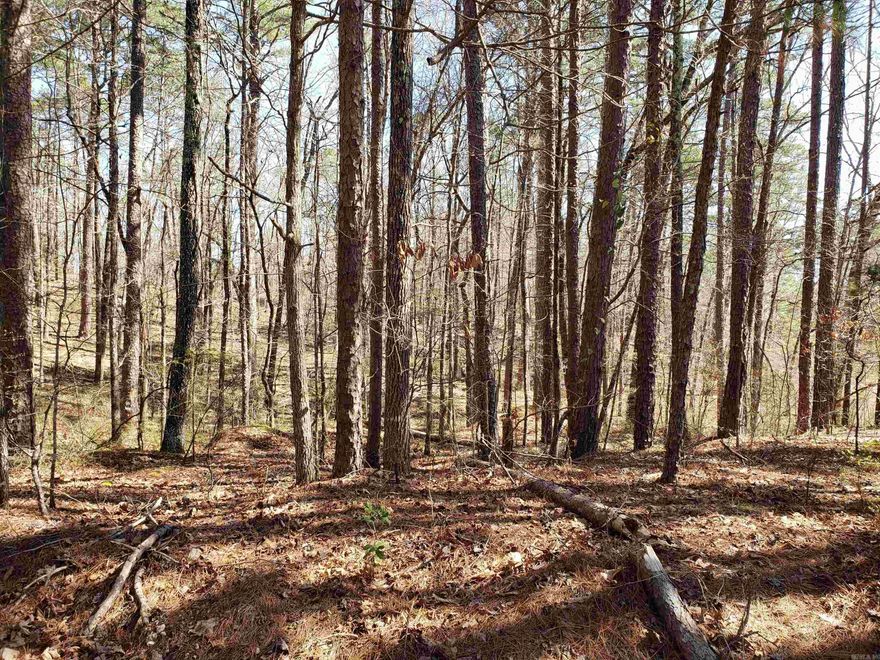 Buildable lot near Cortez Golf Course.  No neighbors near by.