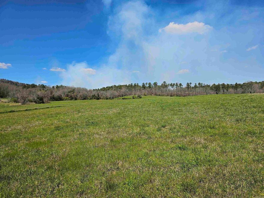 NATIONAL FOREST ON 2 SIDES and FENCED ON THREE SIDES! This beautiful 23.5 (m/l) has small rolling hills, multiple building sites, mountain views, wet weather creek, close to the Oden schools and highway frontage. (Tract 3 ONLY) Possible owner financing. Agents: must read remarks.