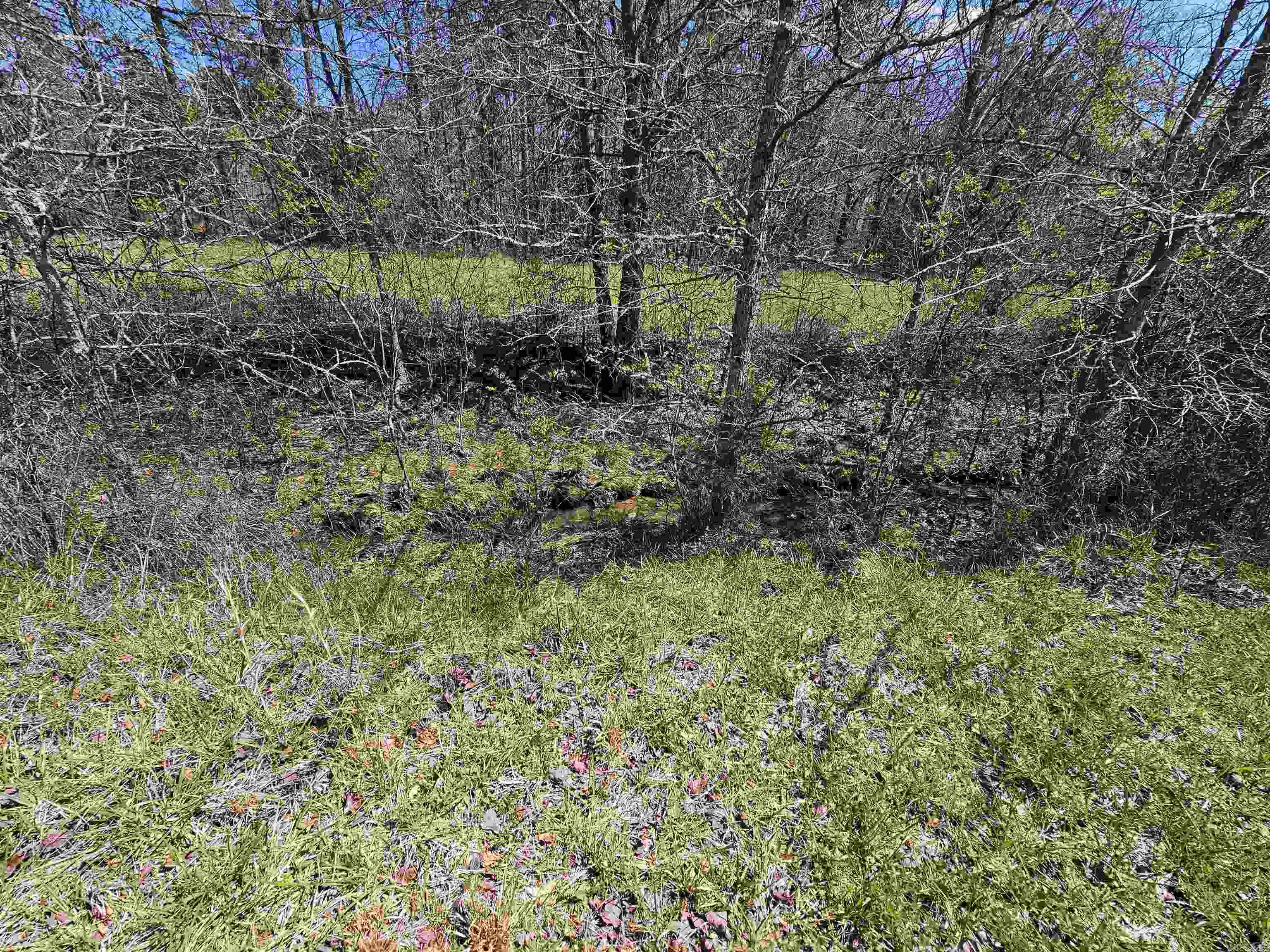 Not in Subdivision - Land