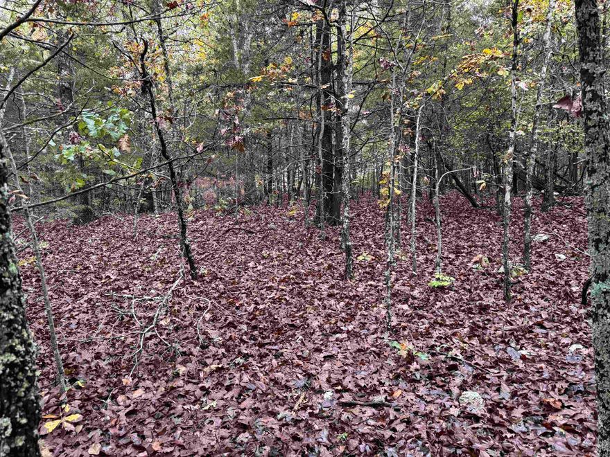 Build Your Dream Home Near Pioneer Lake! Discover the perfect canvas for your future home on this beautiful, wooded lot located near Pioneer Lake. There is a lakeview. Offering a private and serene setting, this property is covered in mature trees, providing a natural backdrop for your dream build or a secluded getaway. Enjoy the community's amenities, maintained by a modest $80 annual fee paid by all property owners to parks and recreation. Important Information: A state-approved percolation test will be required prior to building. Buyer will receive a limited warranty deed at closing. Don't miss this affordable opportunity to own a piece of nature. Drive by and imagine the possibilities today!