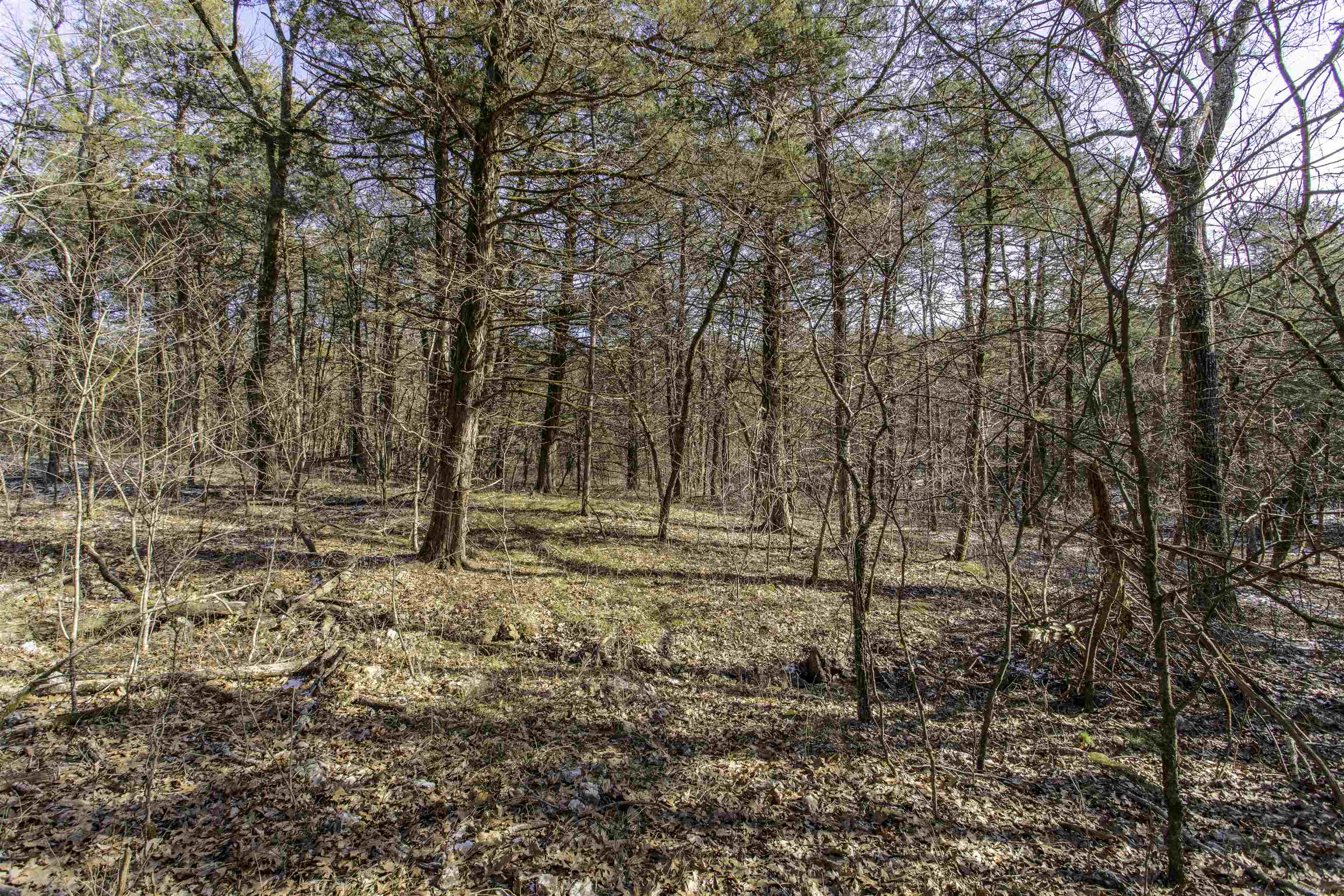 Mountain Valley Estates - Land