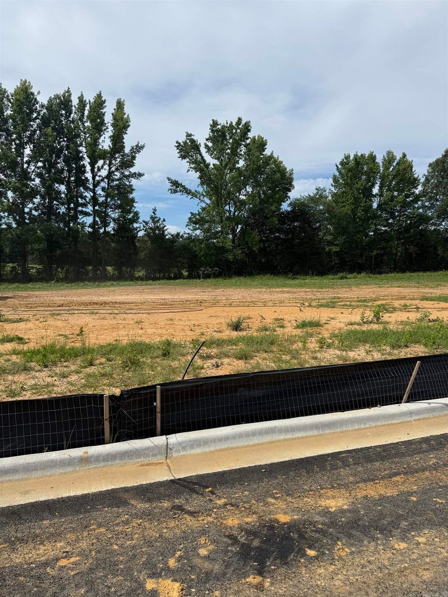 Build your dream home in Copper Moon Estates!