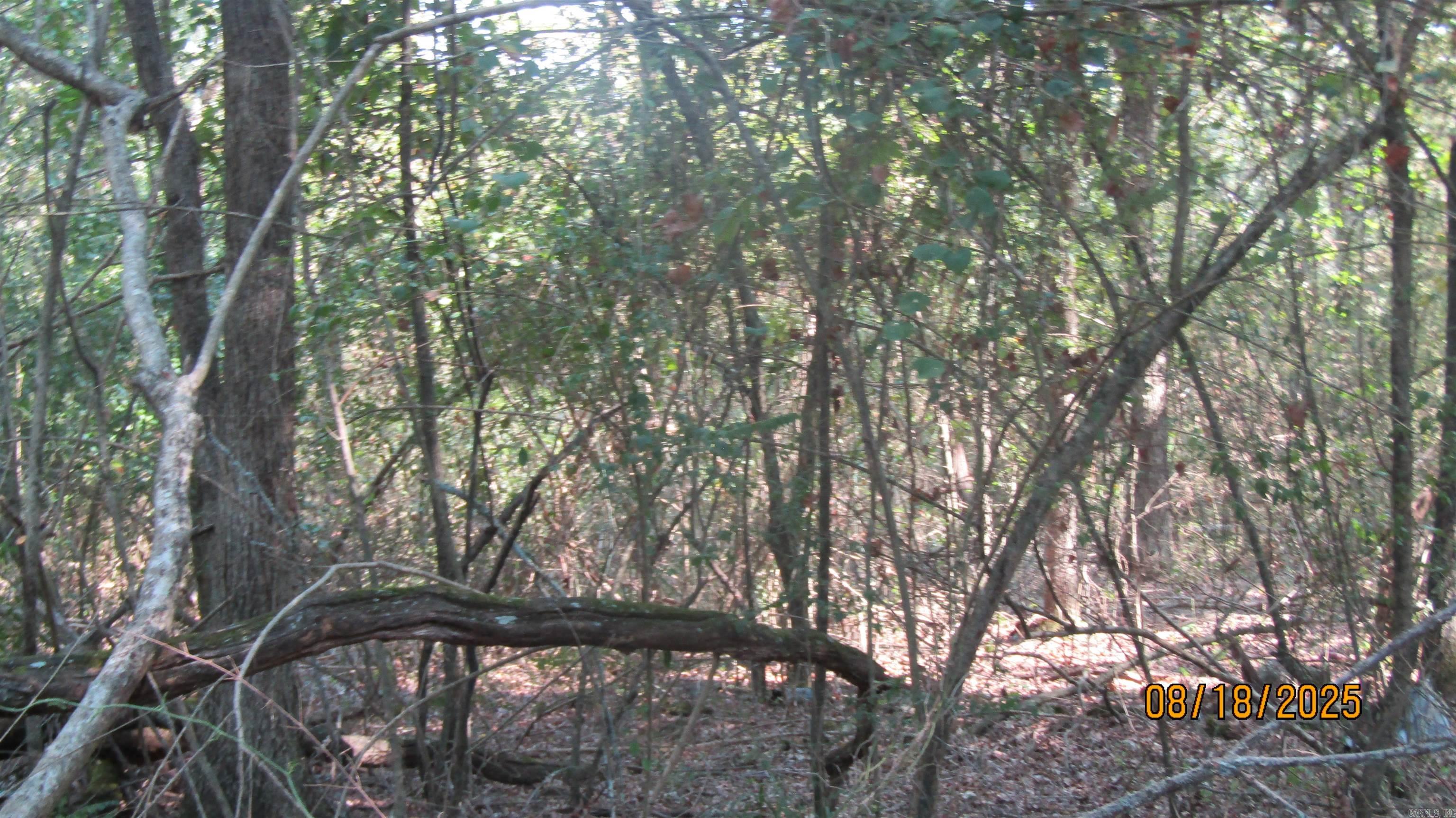 Barrow John 1L - Land