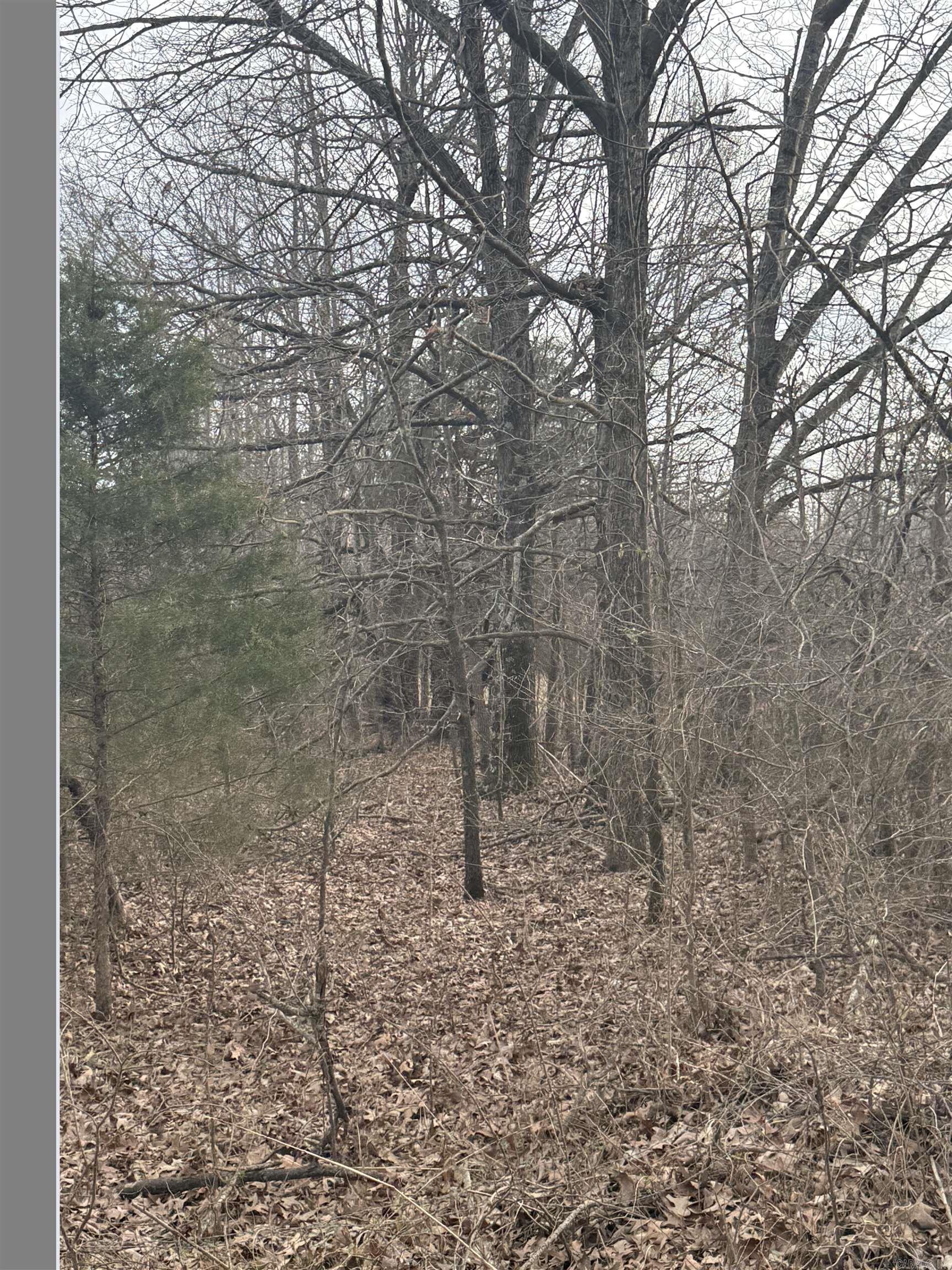 Not in Subdivision - Land