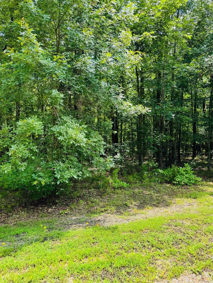 Are you dreaming of retreating to the beautiful Little Red River? This picturesque land is the perfect place to build your cozy dream home. Escape the hustle and enjoy a quiet community that offers a private community pool, boat ramp and dock on the Little Red River and minutes away from Greers Ferry Lake! This gated community offers modern amenities, access to hiking trails, boating, swimming and world-record trout fishing. Access to all the Natural State has to offer is only an offer away. Let us make your dream a reality!