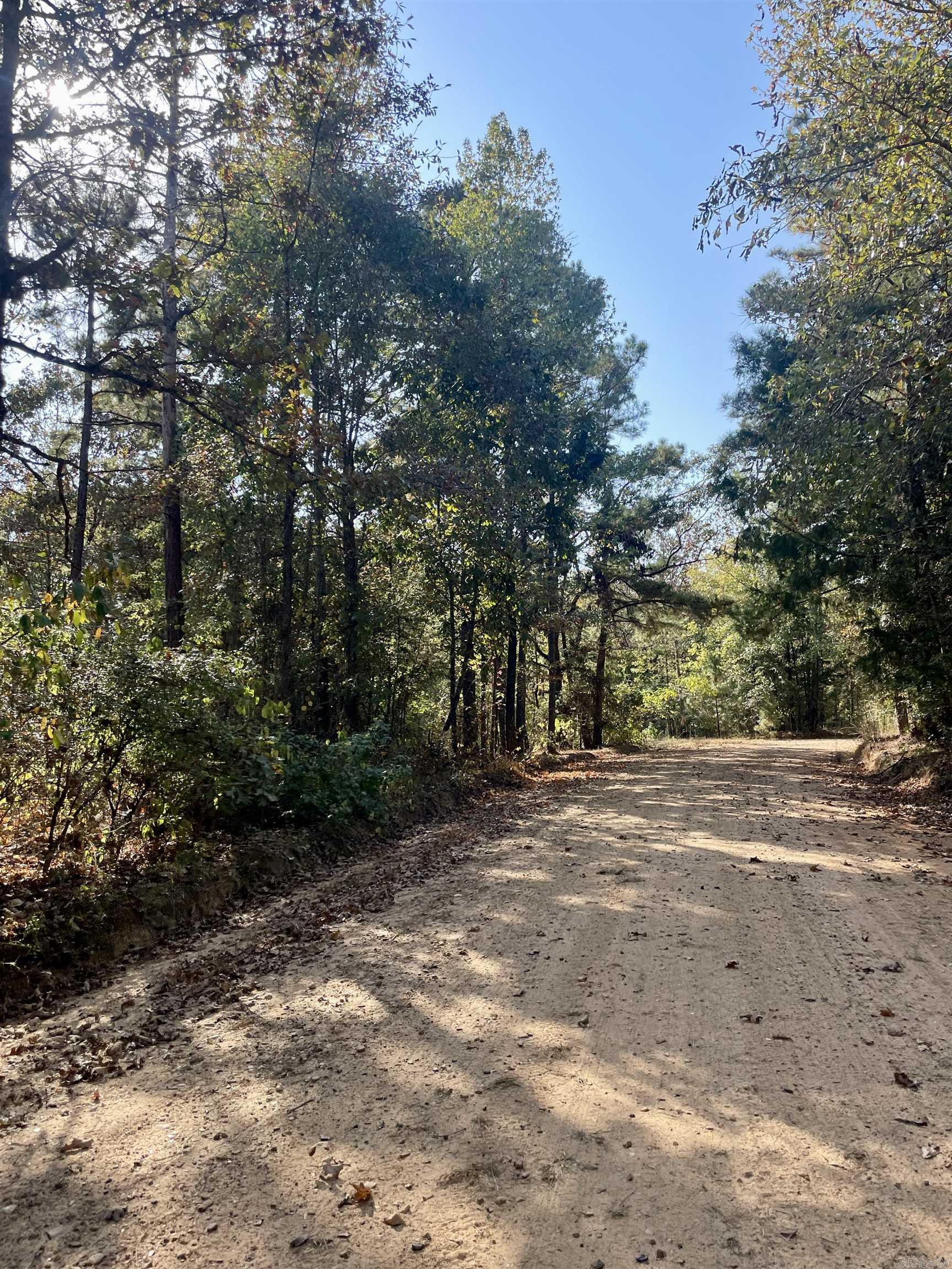 "**Hunters Dream Property - 108 Acres of Timberland with County Road Frontage and High-Speed Internet** This 108-acre property offers an ideal blend of natural beauty and modern convenience. A hunterās paradise, the land features vast stretches of mature timber, providing excellent hunting opportunities. With easy access via county road frontage, this property is perfectly suited for recreational use or as a private getaway. High-speed internet is available, making it convenient for remote work or staying connected. Whether you're looking for a hunting retreat or a peaceful escape, this land offers endless possibilities." MORE PICS COMING SOON!!