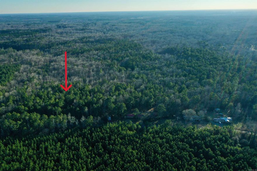 This is the Tract 2 with 4.3 acres divided from this parcel 00-02307-000 Garland County. The other Tract  3 also available for purchase at $15k per acre. Refer to the survey for details of the tract dimensions .  This 4.3  acres has 238 feet paved road front on Hicks Rd, water and electricity is on the street. The land has matured timber, has agriculture exemption for low property tax. Build your own farm on this wooded land while still enjoy the vicinity to the city, Benton or Little Rock both are only 20 mins away. Top schools East end elementary and Sheridan middle/ high school.  GIS map link also available upon request for onsite checking boundary, the land is recently surveyed, so marks may still available for corner points.  Owner financing may also available, cash preferred.