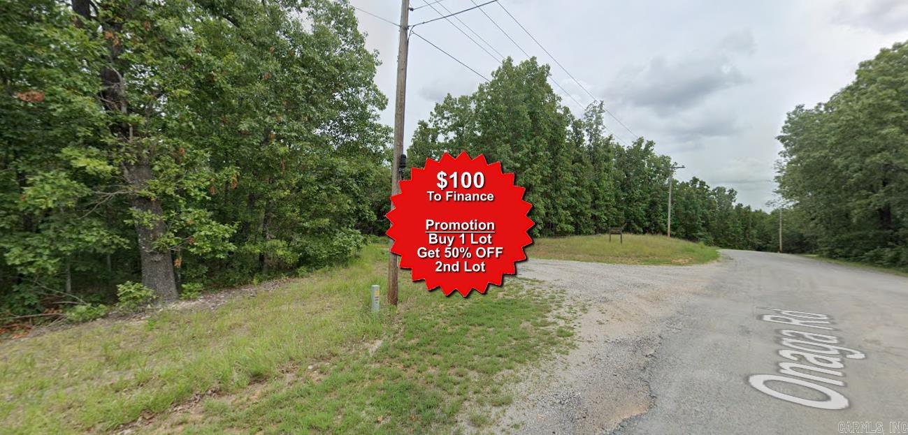 Buy one lot and get 50% off an additional lot! Owner-finance for easy terms. Cash buyers can pay by debit or credit card as well. Nice lot to develop or hold for future value. Public water and electric are available to run to property and will need septic. Owner/agent. No mobiles allowed. 1000 minimum build size on any other type of home, depending on subdivision. Finance is $100 down and 10 months at $99 and closing costs are included. Lots marked with red banner are part of promotion. No limit on lots. Buyer responsible for any/all taxes and lots sold "as-is". Quit claim deed conveys. Parcel ID# 360-19876-000