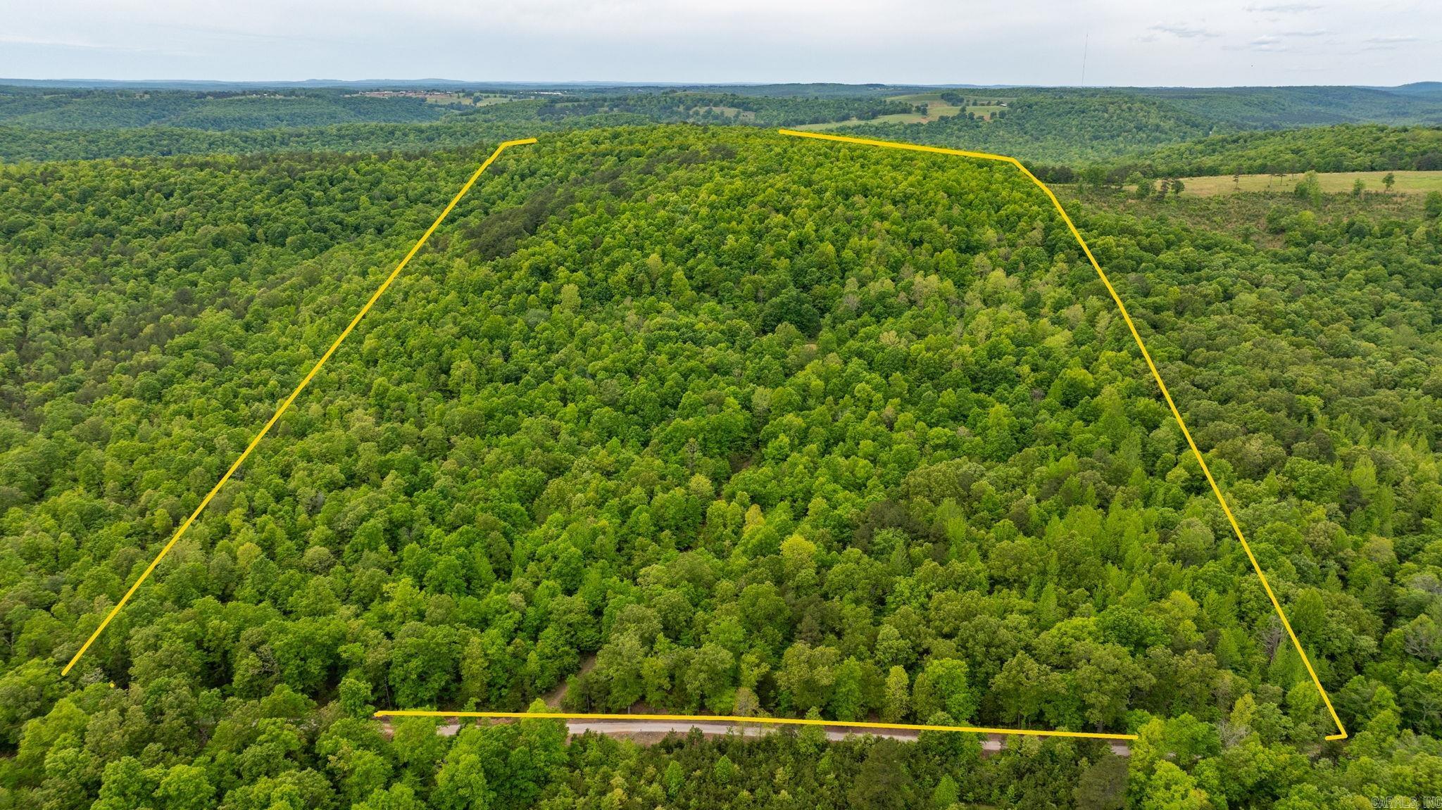 Discover 81.19 acres of pristine timberland at 1505 Brushy Creek Road in Mountain View, AR. Be sure to watch the drone video with this link: https://listings.keyimageworks.com/sites/wewpgea/unbranded This tranquil property features a small pond and a rustic cabin (conveyed at no value), offering a peaceful retreat immersed in Arkansas nature. Located near Brushy Creek, it's an ideal spot for outdoor enthusiasts. Just a short drive away, explore the stunning Blanchard Springs Caverns and the scenic Sylamore Scenic Byway. Additionally, the Buffalo National River, renowned for its hiking, canoeing, and fishing opportunities, is easily accessible. The land is densely wooded, offering a valuable opportunity for timber harvesting. Whether you're seeking a private getaway, an investment in timber, or a base for adventure, this property offers a unique blend of seclusion and natural beauty. The sellers have no information about the cabin on the property.