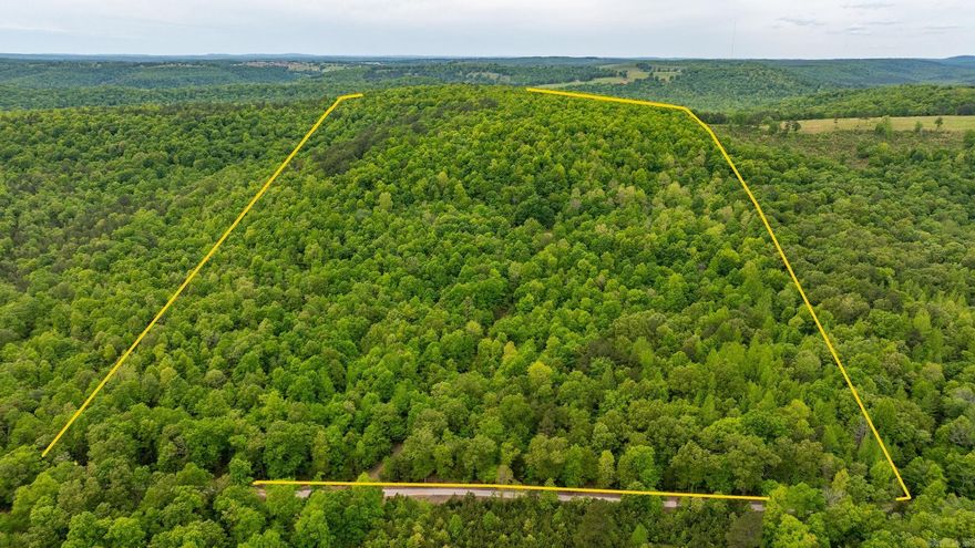 Discover 81.19 acres of pristine timberland at 1505 Brushy Creek Road in Mountain View, AR. Be sure to watch the drone video with this link: https://listings.keyimageworks.com/sites/wewpgea/unbranded  This tranquil property features a small pond and a rustic cabin (conveyed at no value), offering a peaceful retreat immersed in Arkansas nature. Located near Brushy Creek, it's an ideal spot for outdoor enthusiasts. Just a short drive away, explore the stunning Blanchard Springs Caverns and the scenic Sylamore Scenic Byway. Additionally, the Buffalo National River, renowned for its hiking, canoeing, and fishing opportunities, is easily accessible. The land is densely wooded, offering a valuable opportunity for timber harvesting. Whether you're seeking a private getaway, an investment in timber, or a base for adventure, this property offers a unique blend of seclusion and natural beauty. The sellers have no information about the cabin on the property.