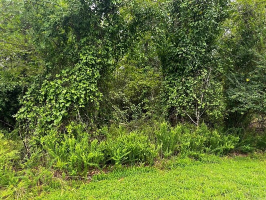 LOT 69 COBALT BAY DRIVE, SHIRLEY, AR 72153 - Image 5bc2d5f1b0a1e1ac17b01041c851cb72/752016694