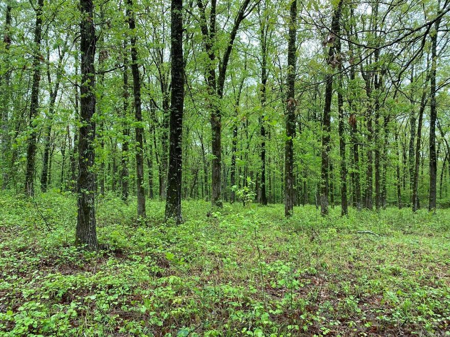 3.28 unimproved natural land, located near end of private road in rural WLR. Beautiful oak trees bushhoged undergrowth. Capped well in back corner fence runs along property line.