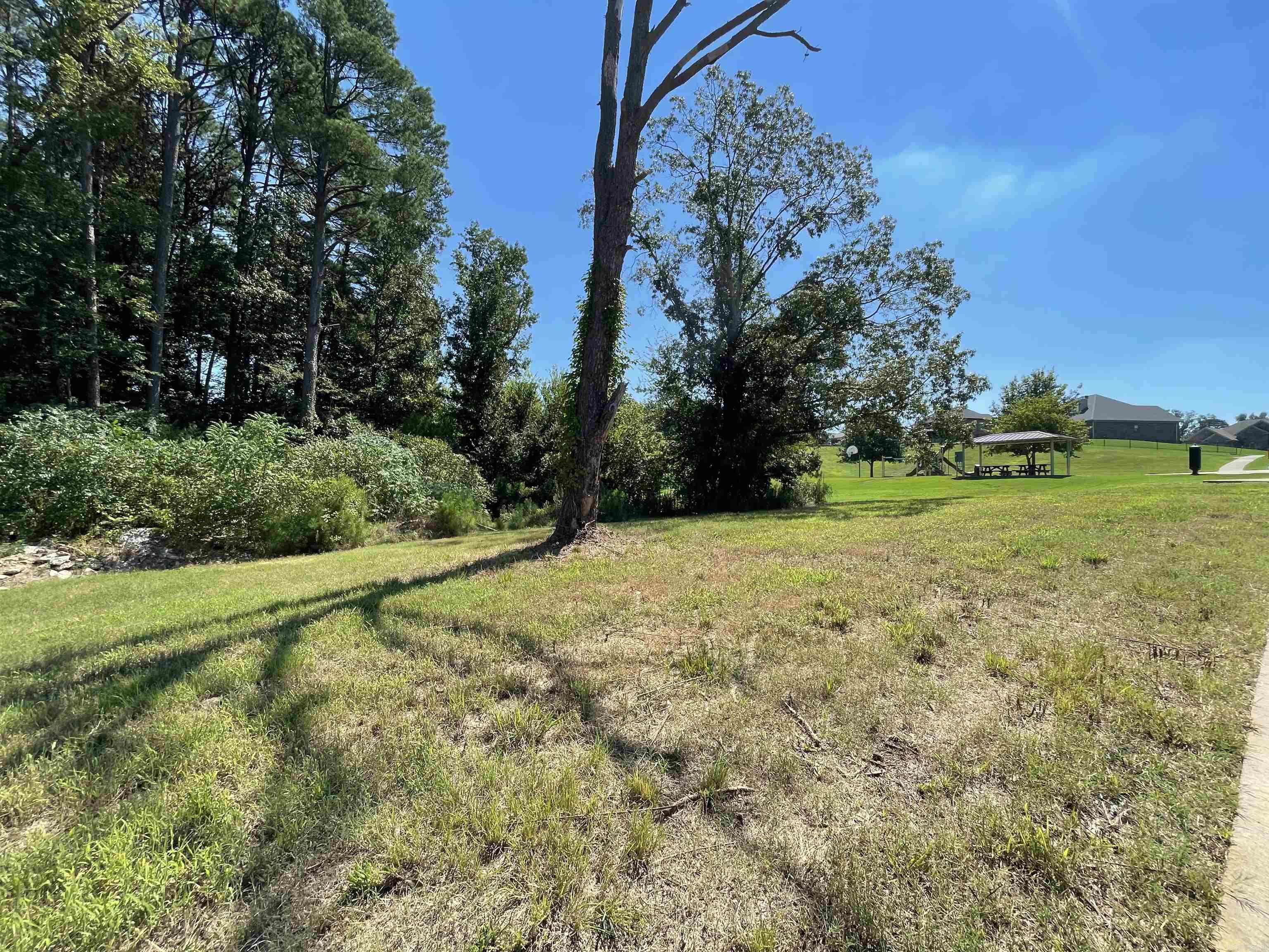 COLDWATER CREEK - Land