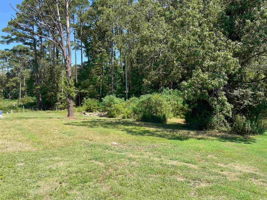 Build your dream home on this spacious lot nestled into a quaint neighborhood of COLDWATER CREEK.