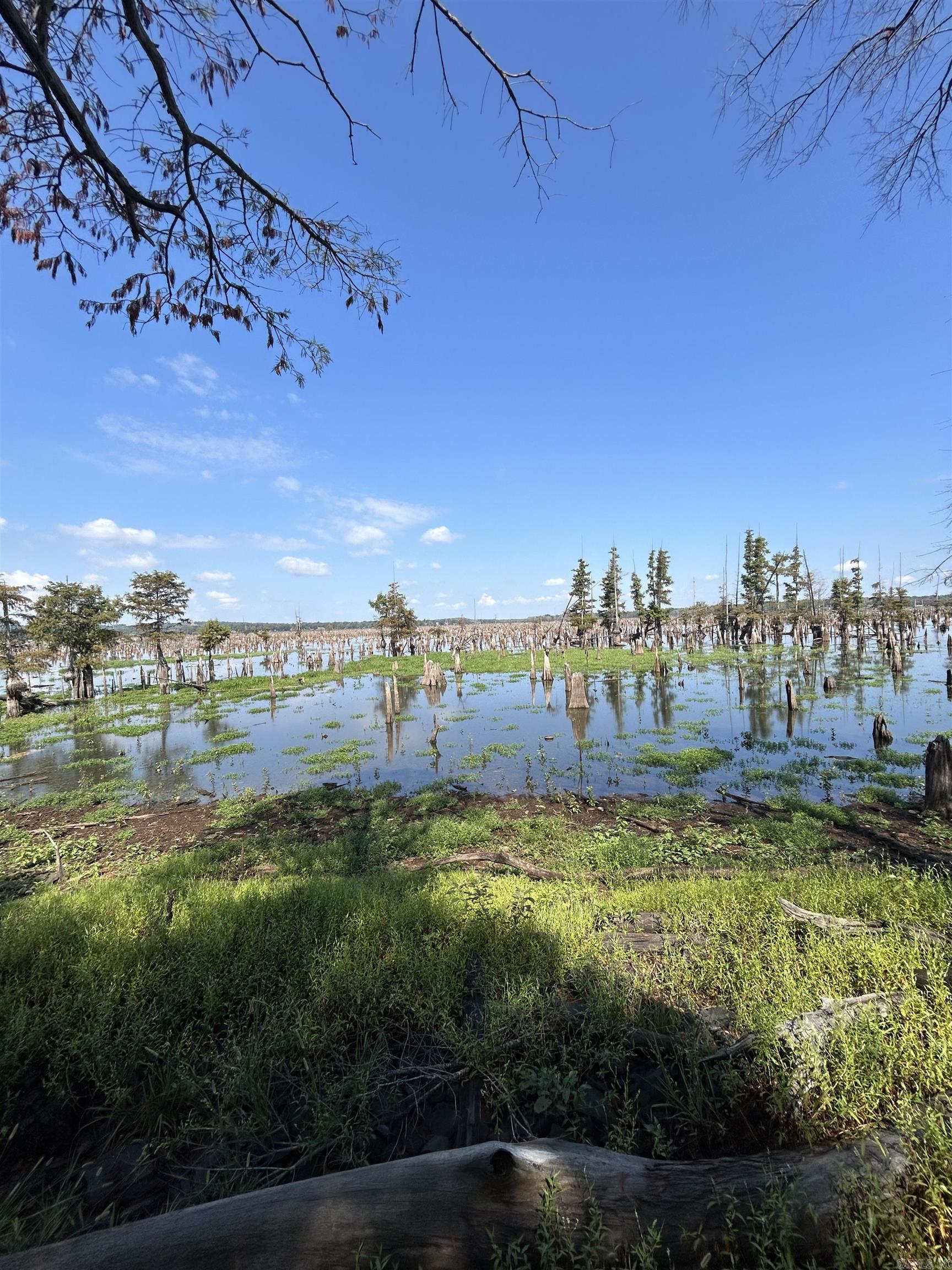 ADAMS BOAT LANDING - Residential