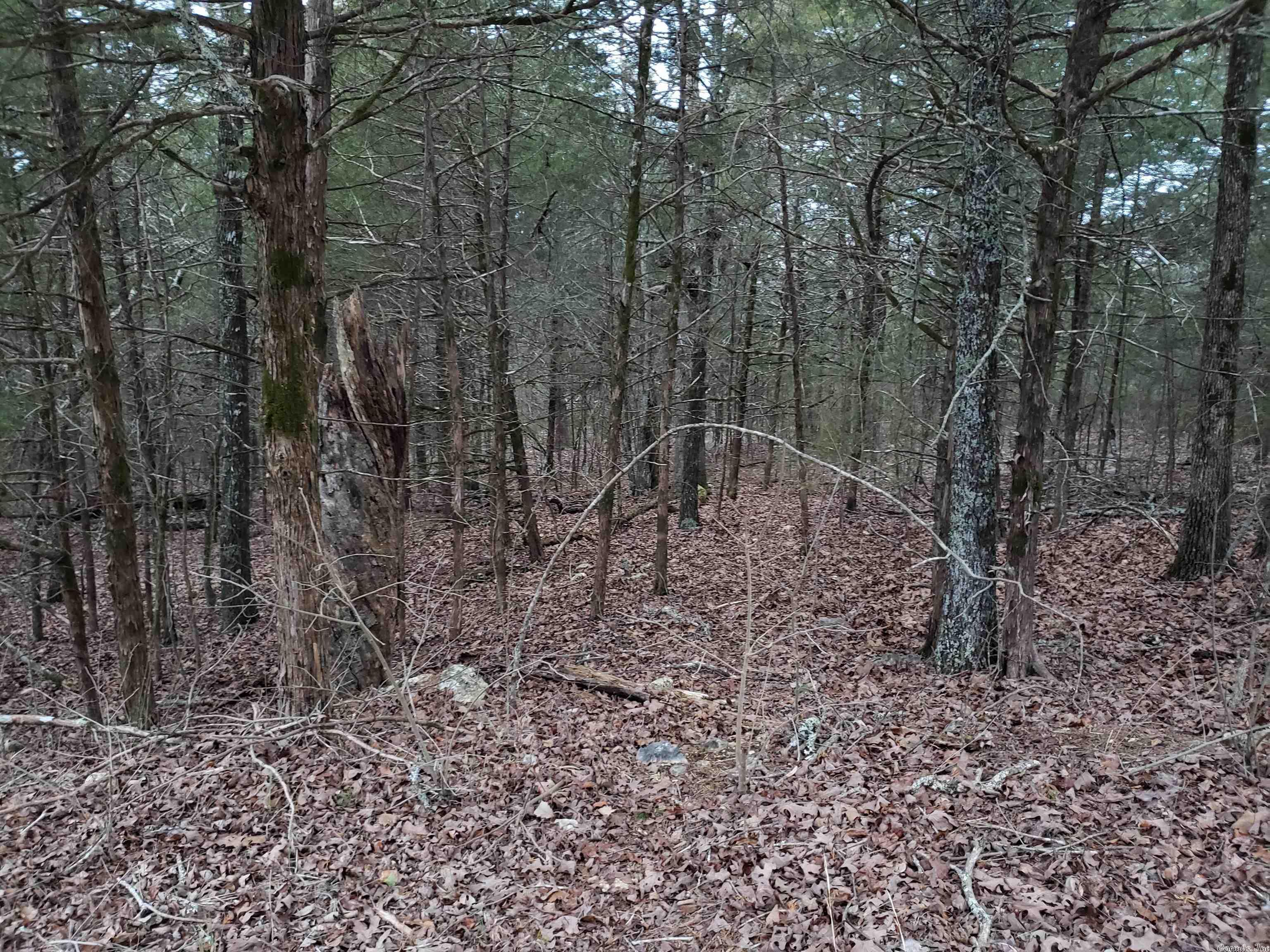 Here is your chance to own 1.5 secluded acres in beautiful Cherokee Village. This a 3-lot deal with over 330 feet of road frontage 3 Lots side by side from the hilltop down to the valley, with a wet weather creek on the back side and one down at the valley end. Come check out these wonderful, wooded lots. Pick out your building spot for your forever home. Enjoy nature right out your front door. There appears to be a well-worn game trail running right across the property. Come stake your claim now.