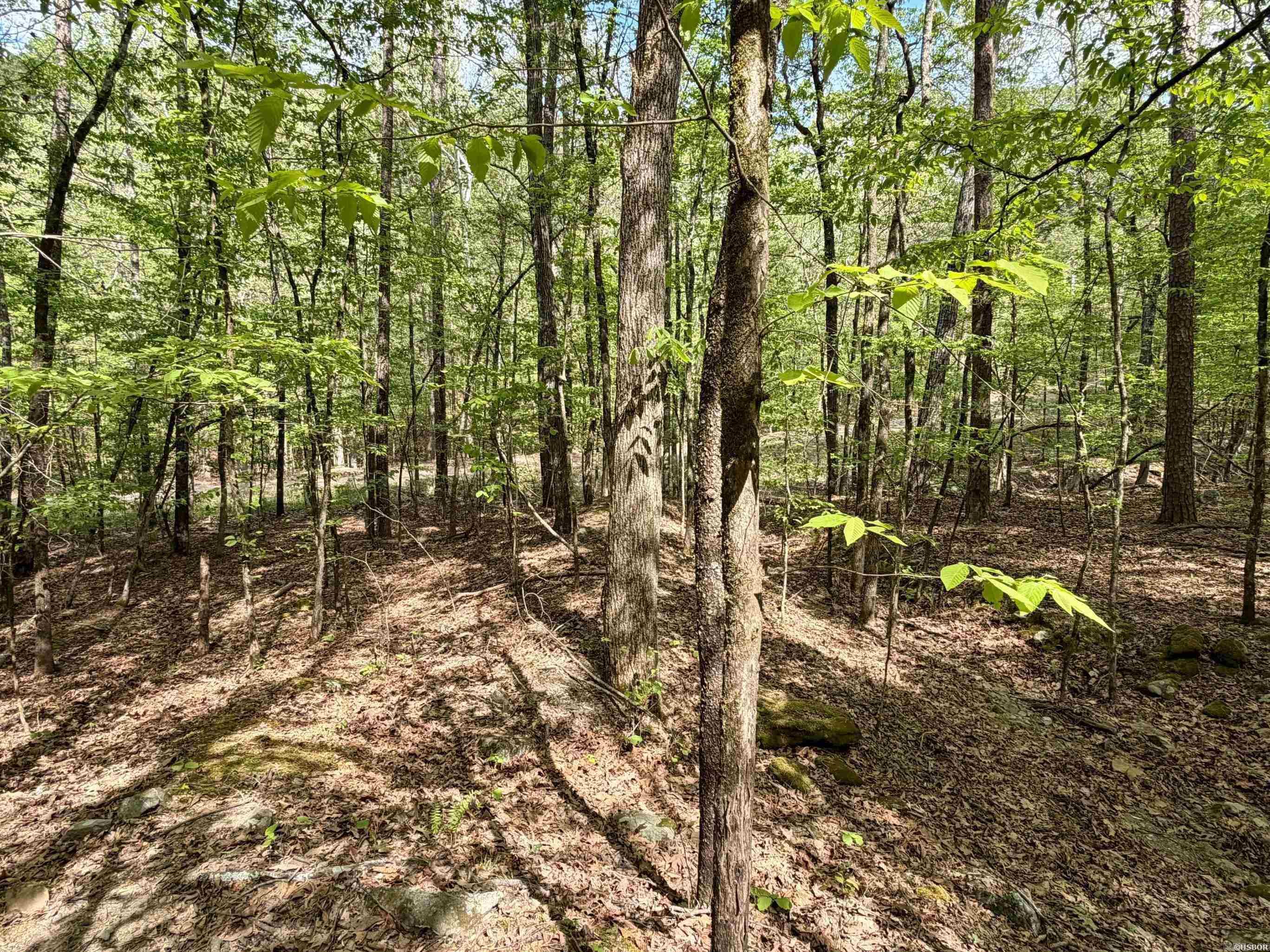 Lake Ouachita Shores - Land