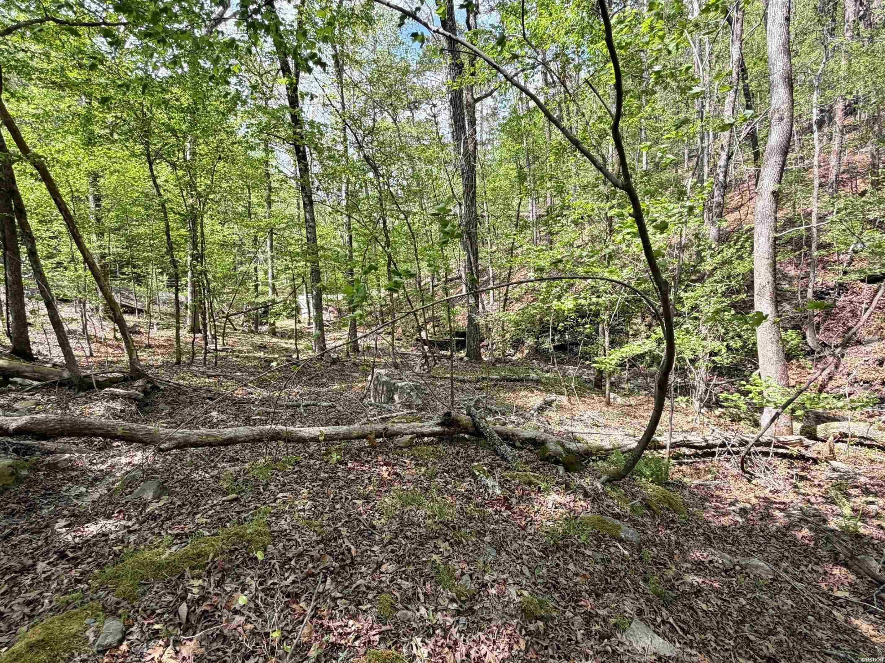 Lake Ouachita Shores - Land