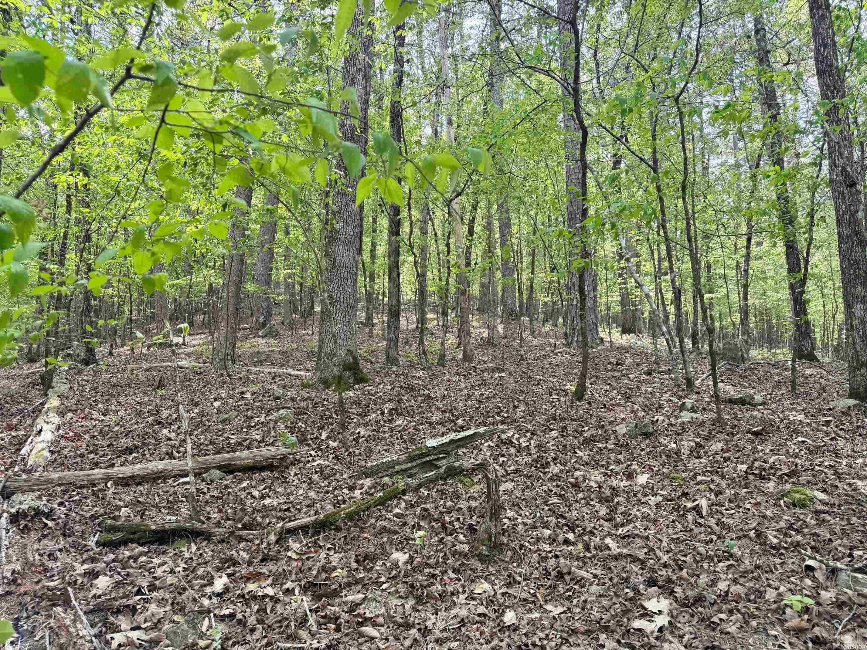 Lake Ouachita Shores - Land