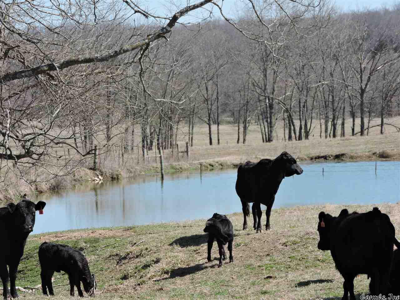 Metes & Bounds - Farm