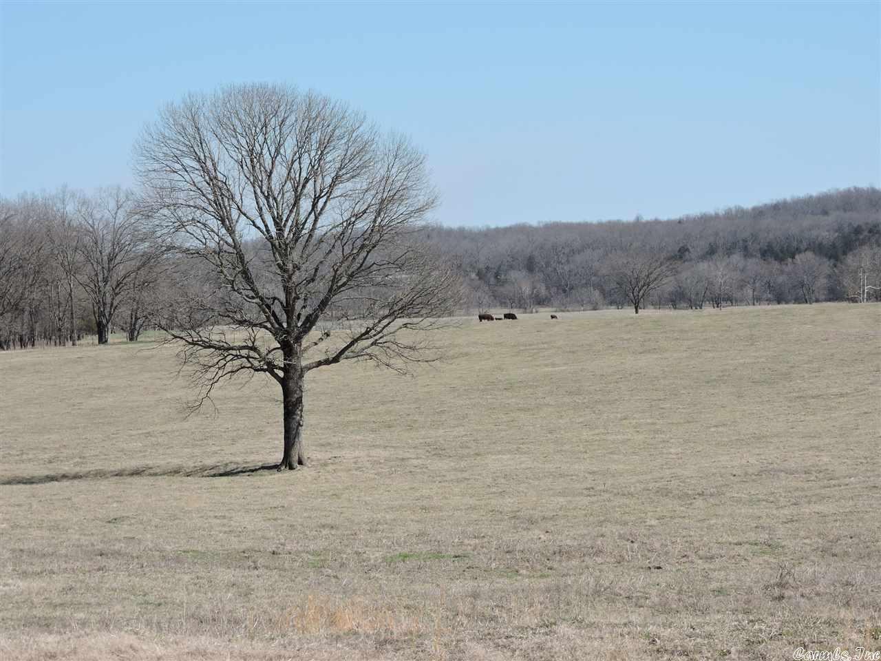 Metes & Bounds - Farm