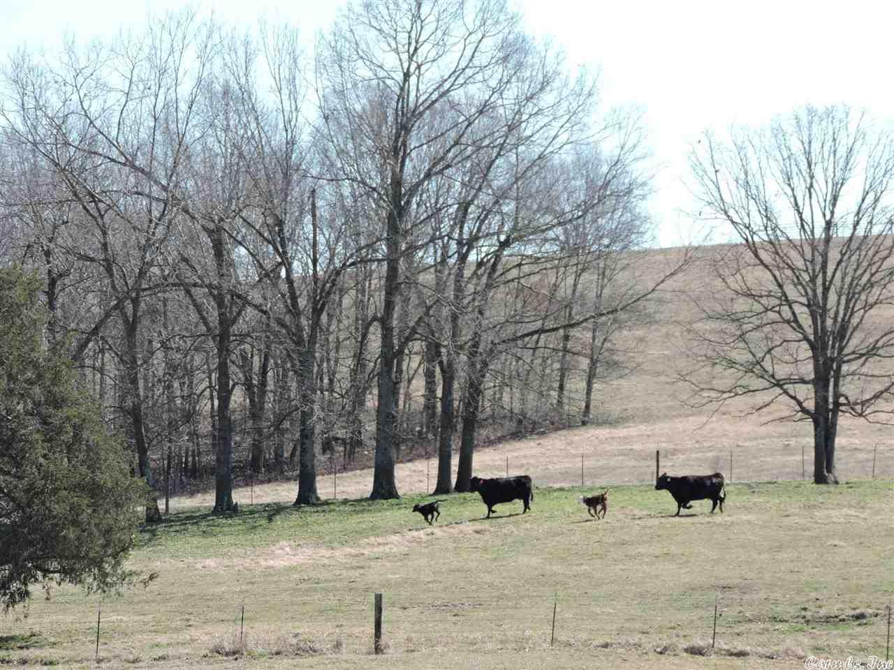 Metes & Bounds - Farm