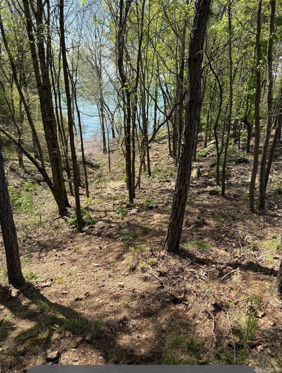 Tannenbaum-Lake - Residential