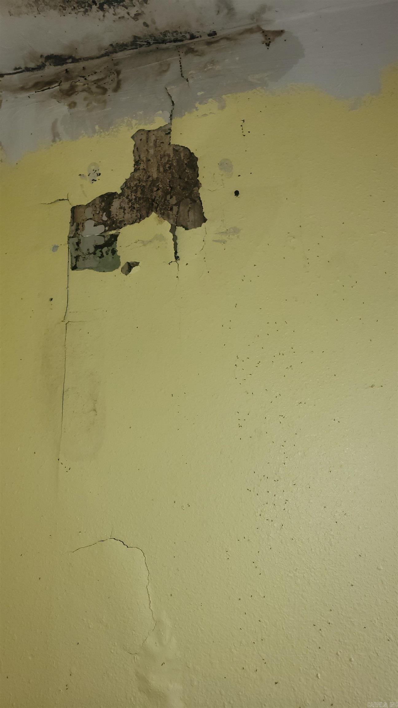 Buhlers 9th - Residential